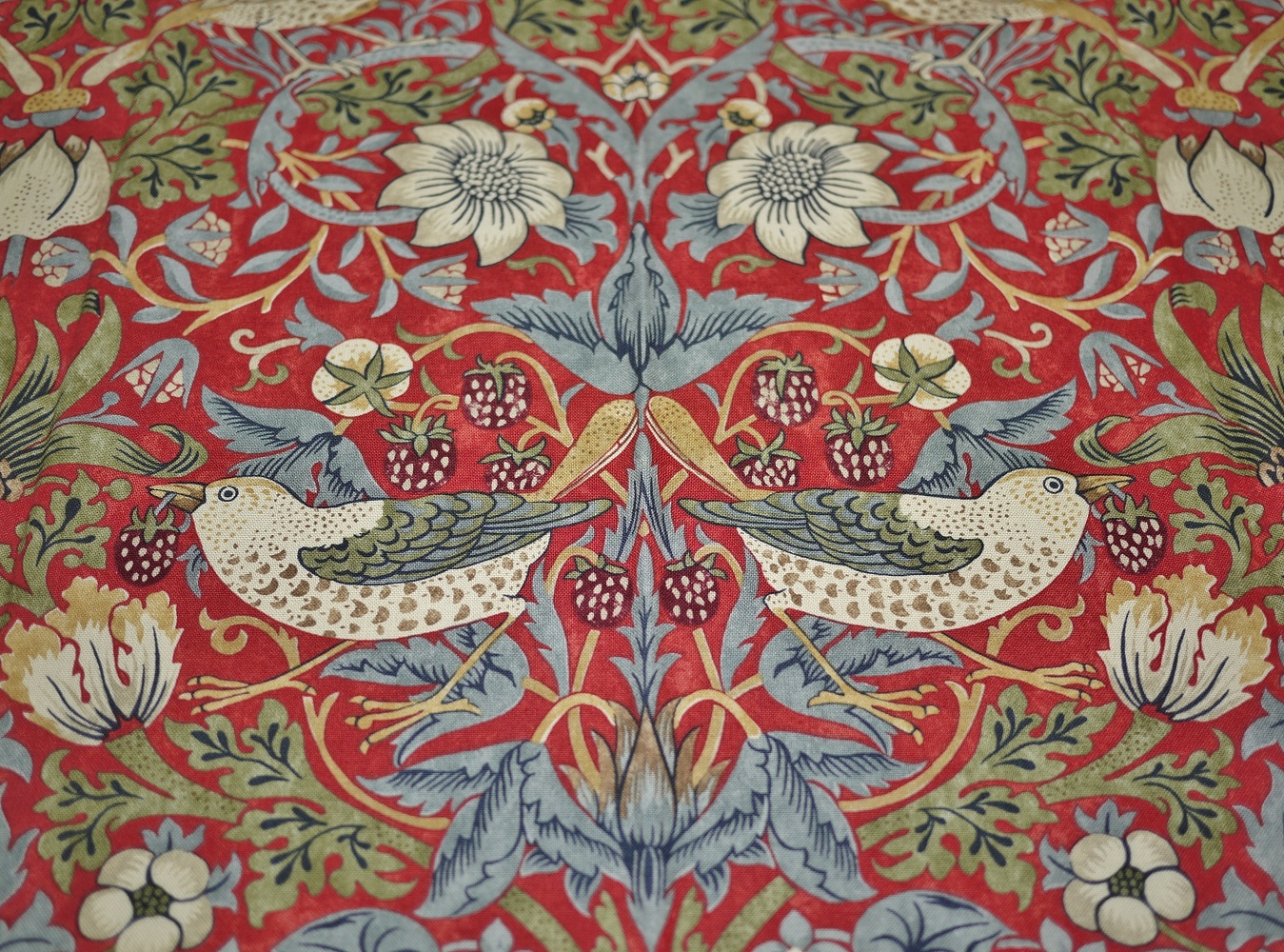 32ae537ef398ecff5b568bae1bbc13